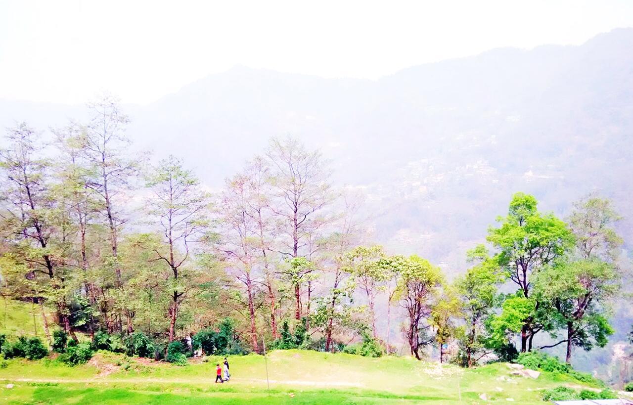 Alpine Hills Hotel 甘托克 外观 照片